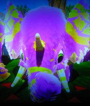 Wildcard Elephanilla
