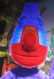 Wildcard Bonboon