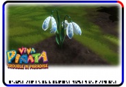 Snowdrop