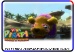 Fizzlybear wildcard 2