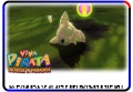 Thumbnail for version as of 02:55, 20 October 2008