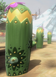 A desert cactus.