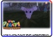 Galagoogoo wildcard 2