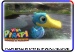 Quackberry variant 1