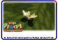 Thumbnail for version as of 03:52, 11 November 2009