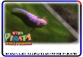 Newtgat-TroubleInParadise-Wildcard3-PV.jpg