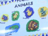 Kangaroo.PNG
