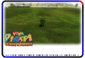 HollySeed-TroubleInParadise-PV.jpg