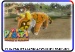 Tigermisu wildcard 1