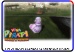 Pudgeon wildcard 2