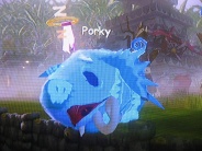 Wildcard Pigxie