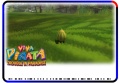 GooseberrySeed-TroubleInParadise-PV.jpg