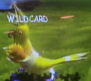 Wildcard Candary