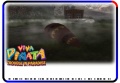 Thumbnail for version as of 13:56, 8 September 2008