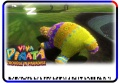 Fizzlybear-TiP-Wildcard1-PV.jpg