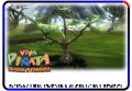 GooseberryBush-TroubleInParadise-PV.jpg