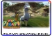 Chewnicorn wildcard 1