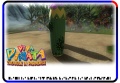 Cactus-TroubleInParadise-PV.jpg